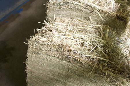 Hay of Rokko ranch barnの写真素材