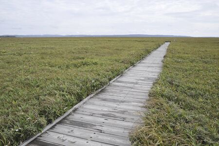 Sarobetsu wetlands and kidou