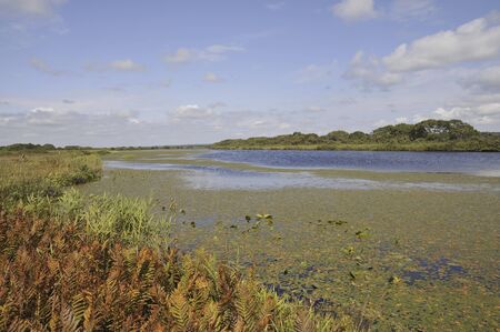 Sarobetsu wetlands and swampの写真素材