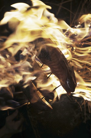 Bonito of straw grilledの写真素材