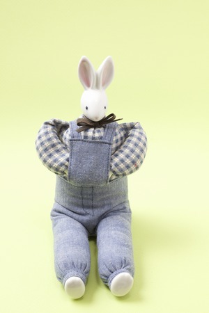 Rabbit craft dollの写真素材