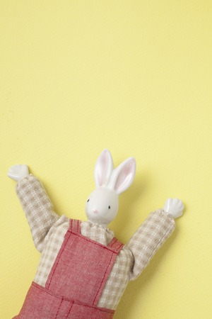 Rabbit craft doll