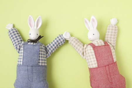 Rabbit craft dollの写真素材