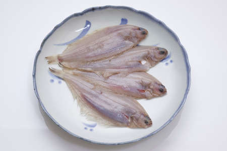Raw fish of flounder