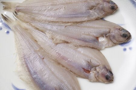Raw fish of flounder