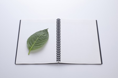 Notes on green leavesの写真素材