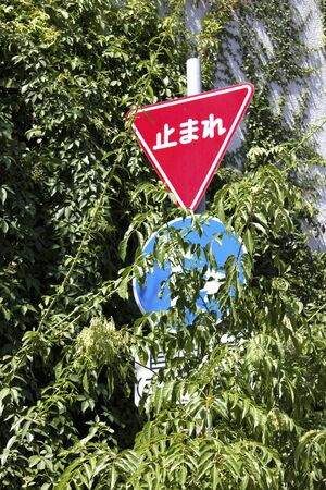 Traffic signs hidden in the foliageの写真素材