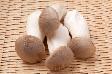 Alinghiの写真素材