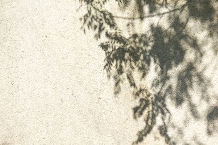 Komorebi surface of large stoneの写真素材