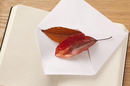 Autumn leaves into white envelopes