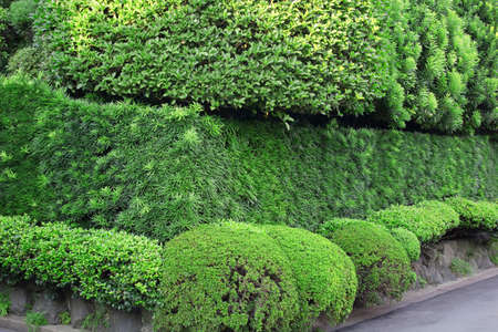 Fence