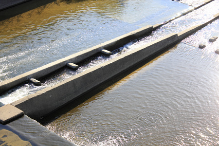 Waterway in the river for a run-up of fish