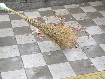 Cleaning of the sidewalk of fallen leavesの写真素材