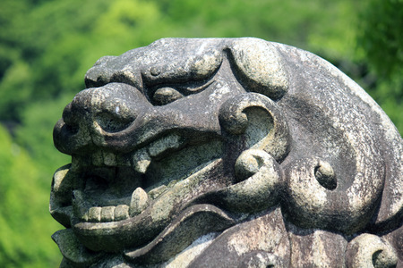 Guardian of the shrineの写真素材