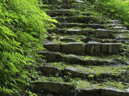 Stone steps of the mountain