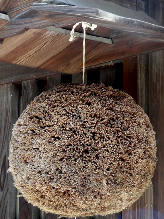 Cedar ball of sake breweryの写真素材