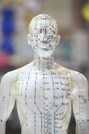 Model of Shiatsu of potの写真素材