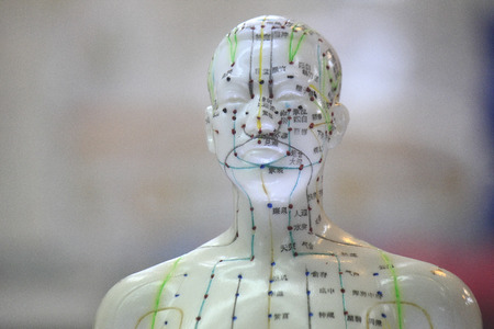 Model of Shiatsu of potの写真素材