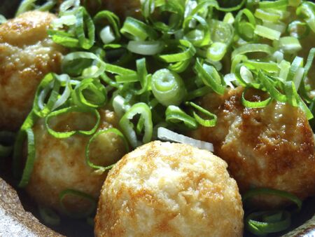Octopus ballの写真素材