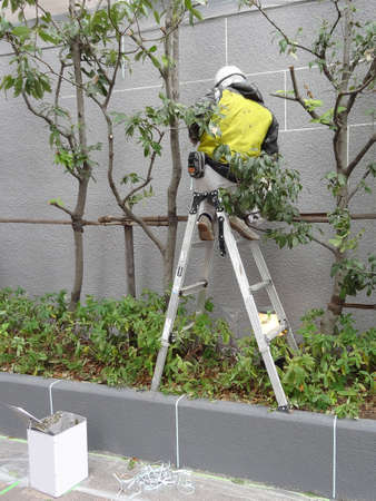 Paint construction of the outer wall tile joints