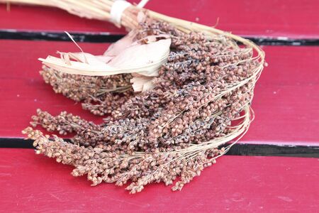 Inahoの写真素材