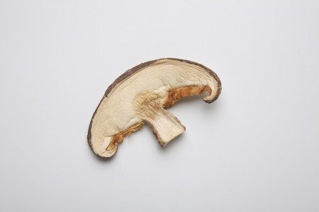 Shiitake mushroomの写真素材