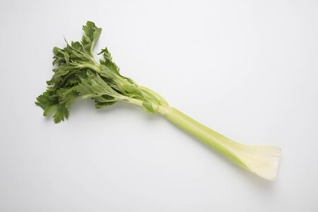 Celeryの写真素材