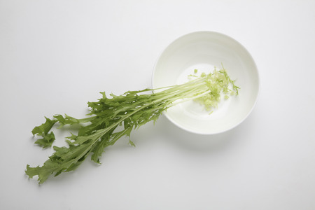 Potherb mustardの写真素材