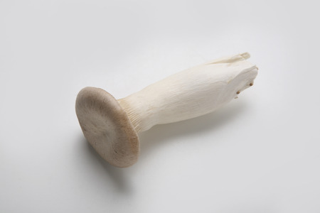 Alinghiの写真素材