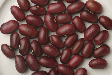 Cannellini beansの写真素材