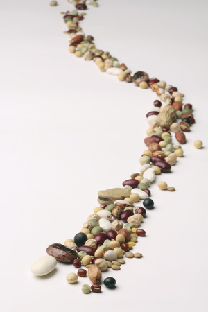 Bean variety