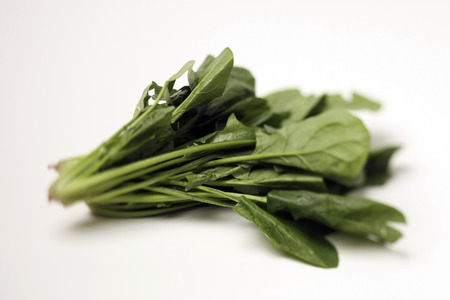 Spinachの写真素材