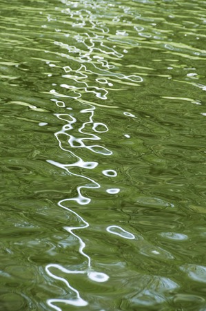 Surface of the waterの写真素材