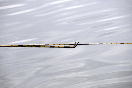 Herabuna Fishing