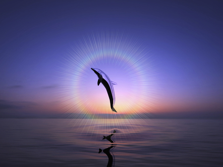 Dolphinの写真素材