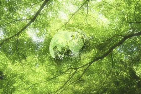 Ecologyの写真素材