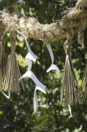 Shideの写真素材