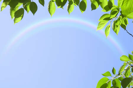 Fresh greenの写真素材