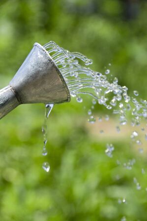 Watering can and waterの写真素材
