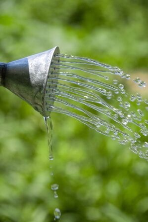Watering can and waterの写真素材