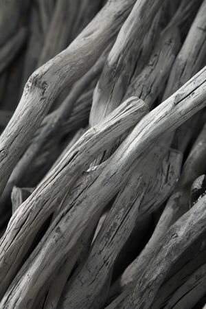 Kishu binchotan charcoalの写真素材