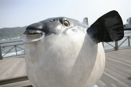 Blowfish objectの写真素材