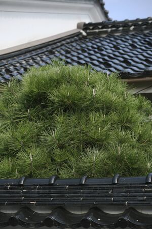 Town of Katsuyamaの写真素材