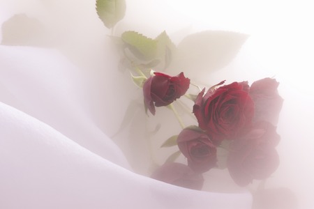 Bouquet of rosesの写真素材