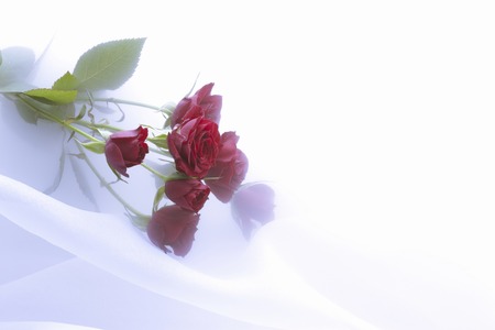 Bouquet of rosesの写真素材