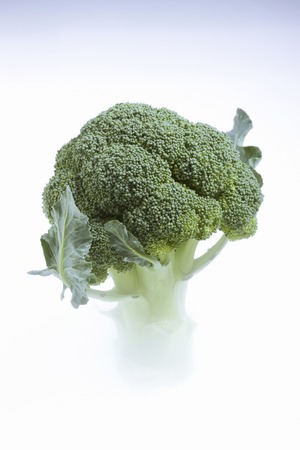 Broccoliの写真素材