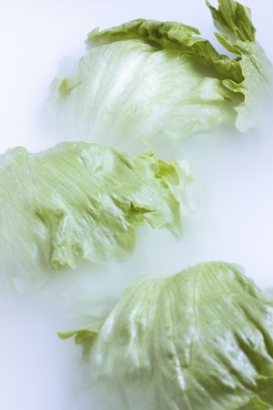 Lettuceの写真素材