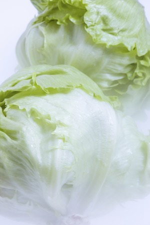 Lettuceの写真素材