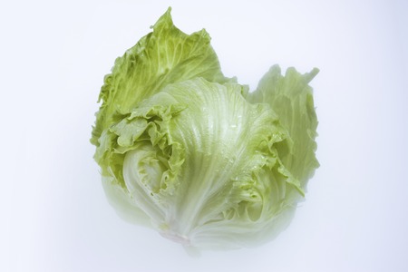 Lettuceの写真素材
