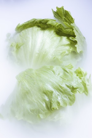Lettuceの写真素材